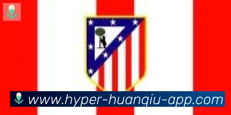环球体育官网合作伙伴